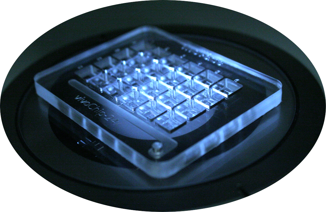 vivoChip-24x microfluidic immobilization platform