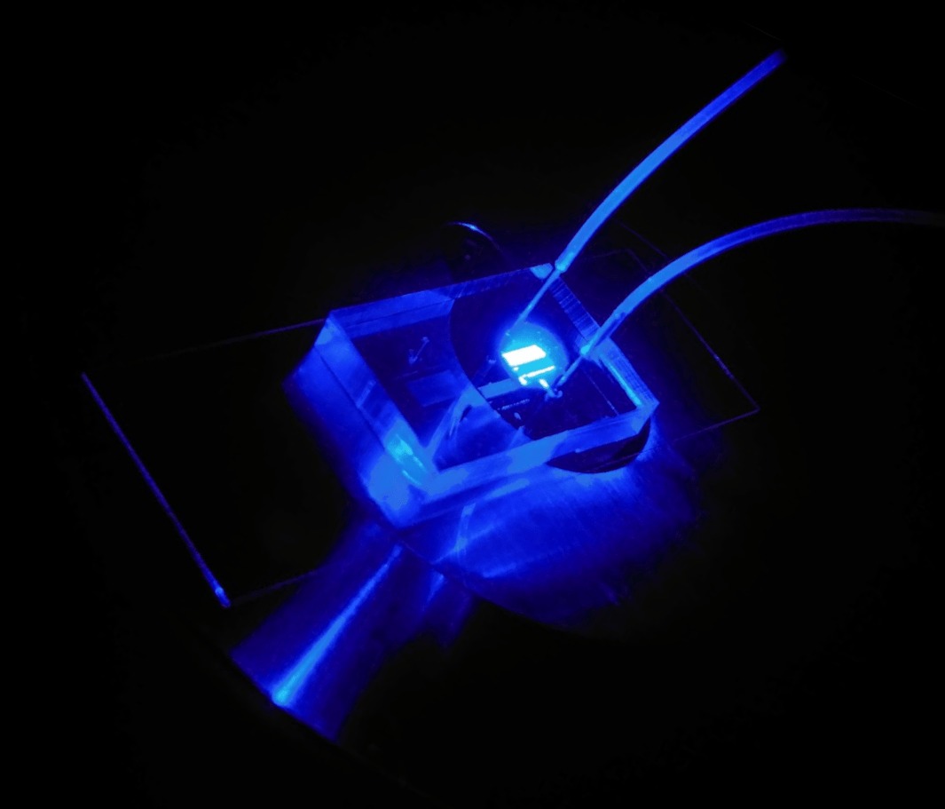 vivoChip-2x microfluidic immobilization platform
