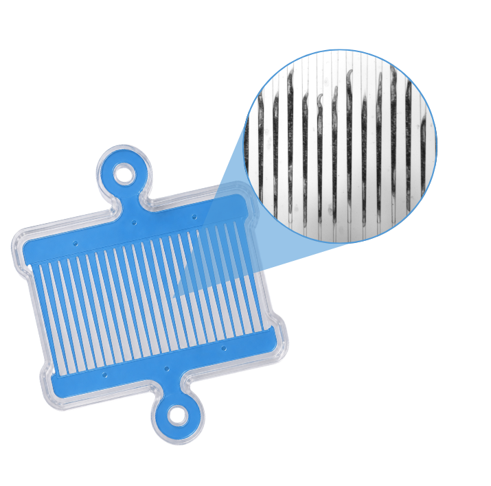 High-content imaging with worms immobilized in vivoChip channels