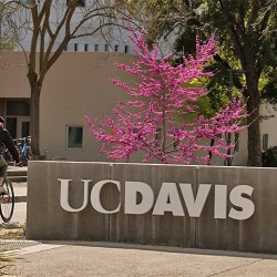 UC Davis