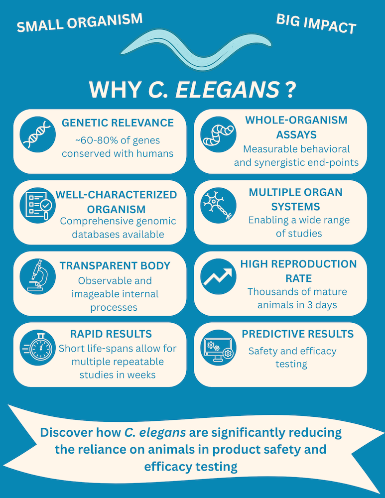 8 reasons why C. elegans is an excellent small model organism for toxicity and efficacy testing NAMs 
