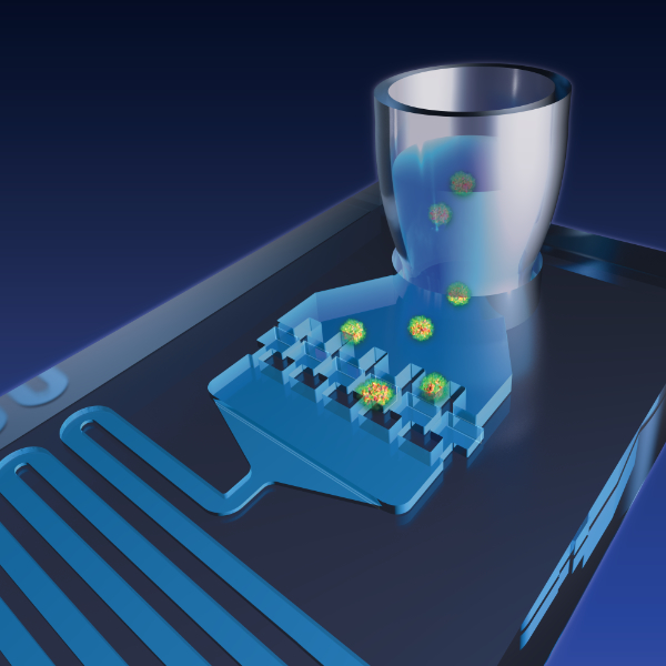 Schematic showing immobilization of organoids for high-resolution imaging in the organoidChip