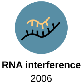RNA interference – gene silencing by double-stranded RNA