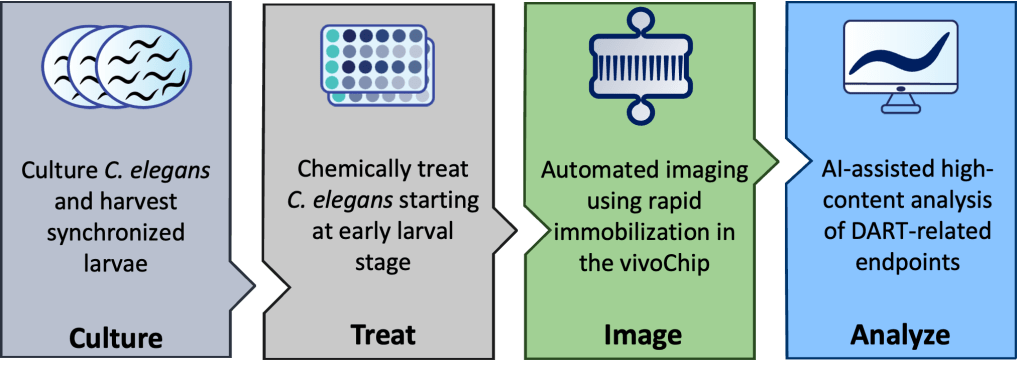 Schematic of the vivoVerse DART assay